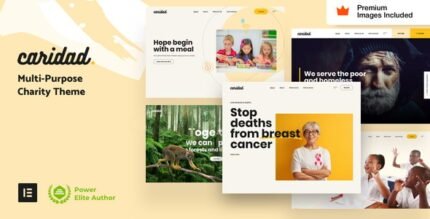Caridad – Charity WordPress