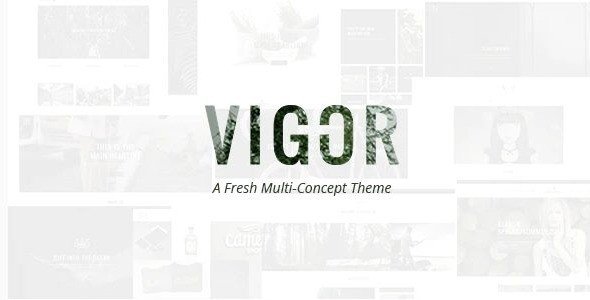 Vigor – Vintage WordPress Theme