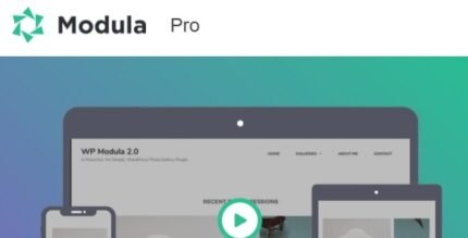 Modula Pro 2.8.10 - GPL Pugins Club