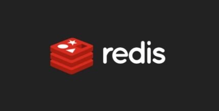 Redis Cache Pro 1.23.1 - GPL Pugins Club