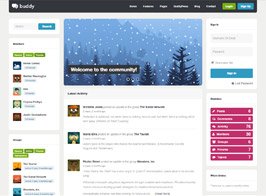 Buddy Multi-Purpose WordPress/BuddyPress Theme