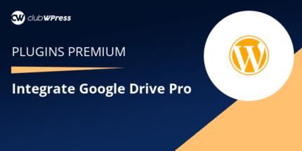 Integrate Google Drive PRO