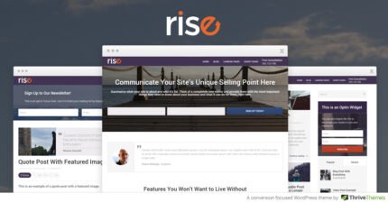 Rise – Business & Consulting WordPress Theme