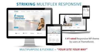 Striking – MultiFlex & Ecommerce Responsive WP Theme