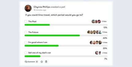 BuddyPress Polls 4.3.8 - GPL Pugins Club